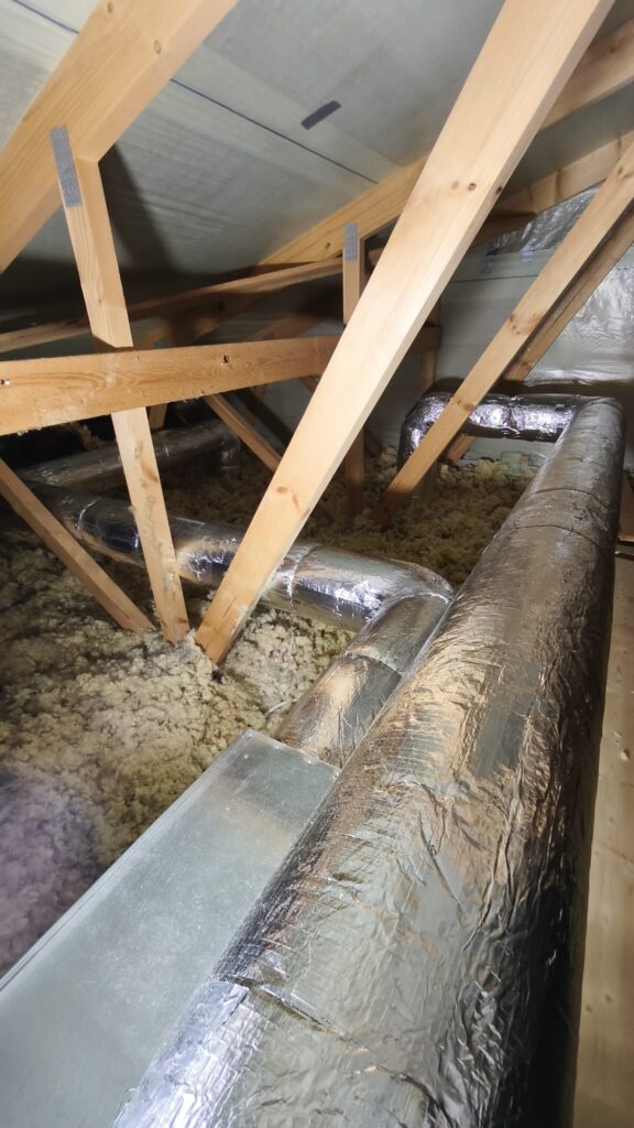 whatsapp image 2026 01 05 at 11.28.36 (2)